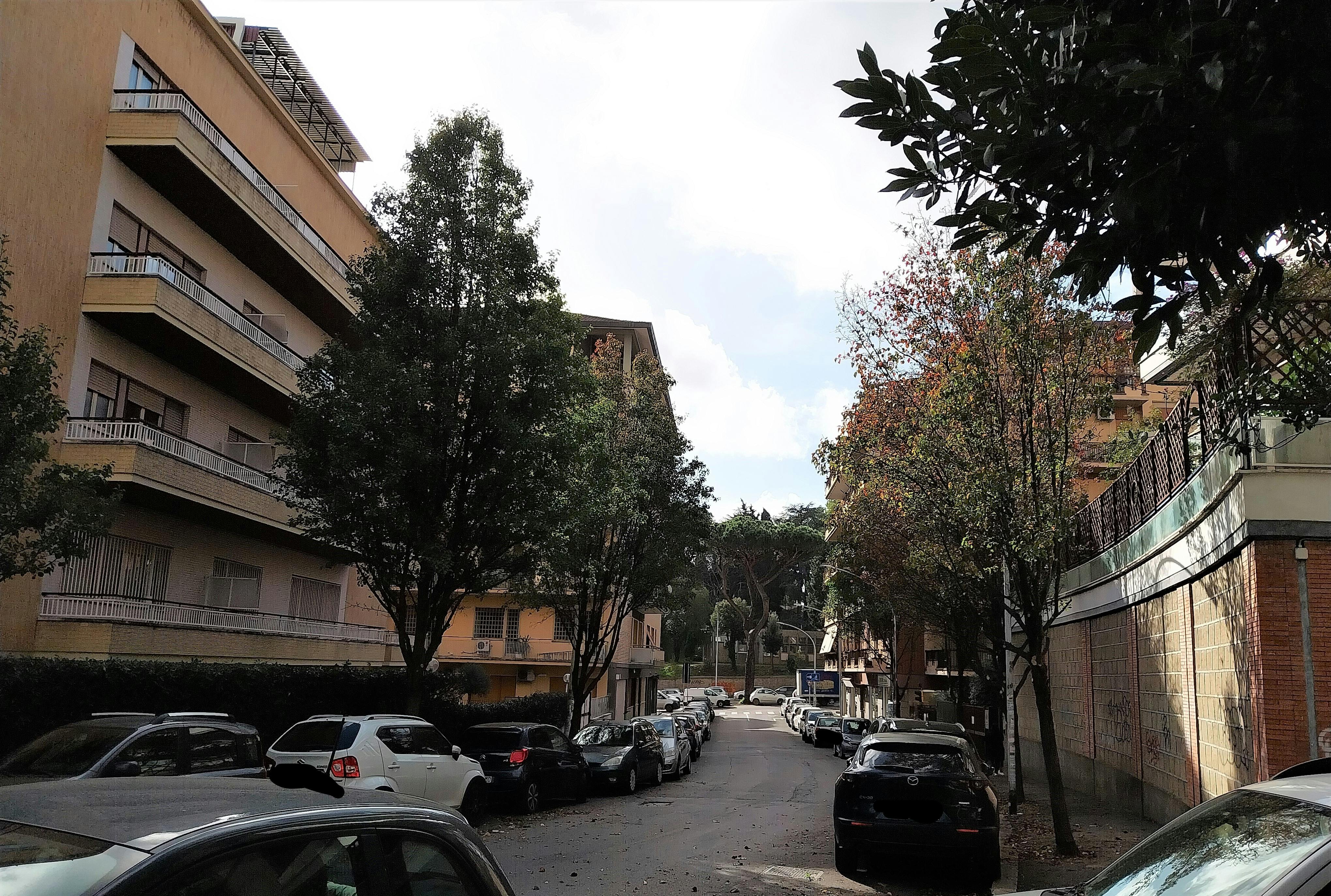 Single room Rome, 1 bed, 20m² — photo 2