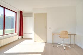 Private room for rent for €1,045 per month in Rotterdam, Dries van der Vlerkstraat