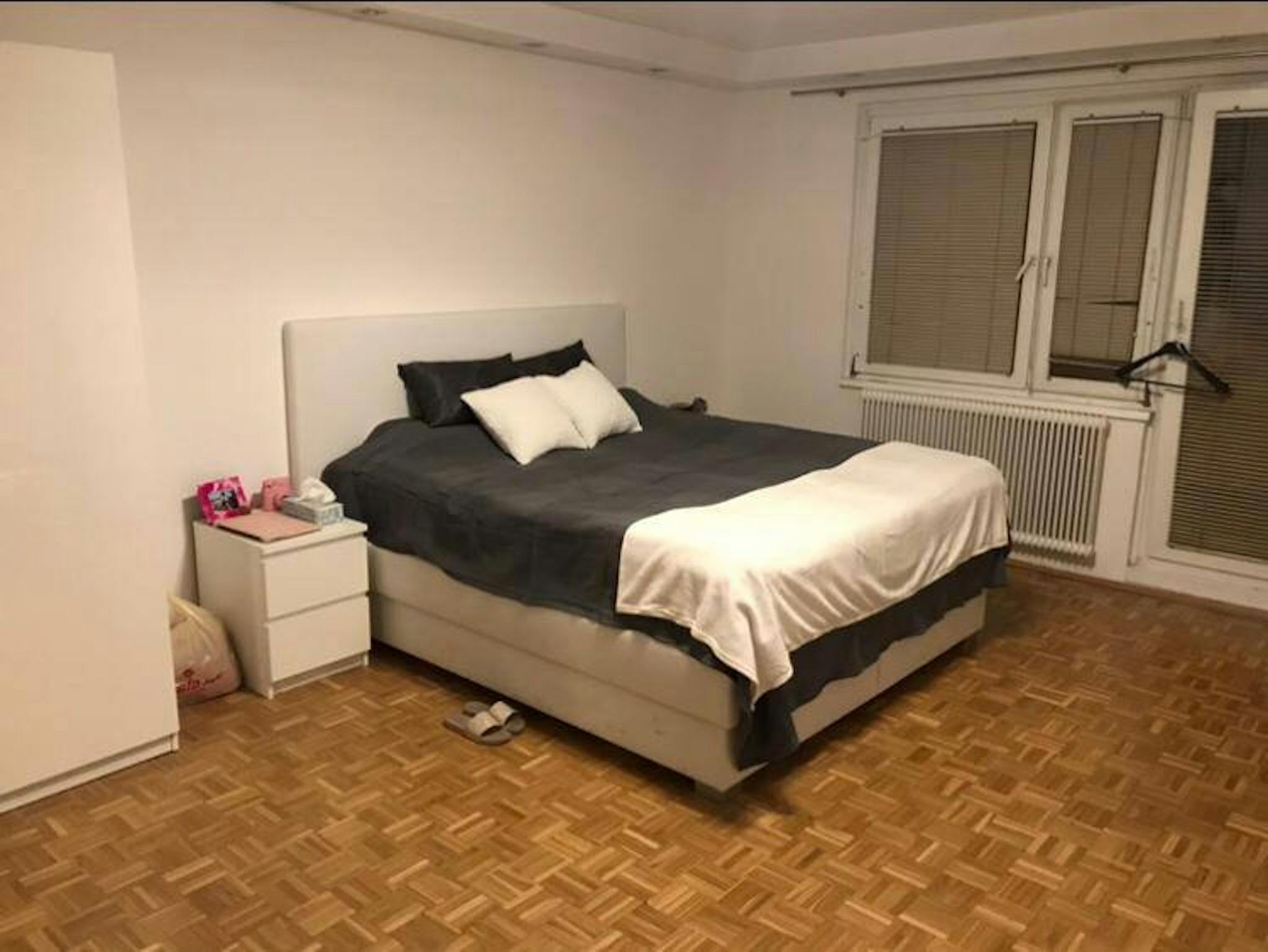 Hellwagstraße, Vienna preview