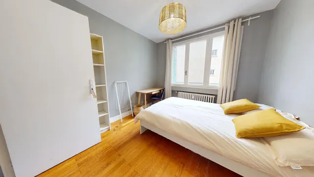 Private room in Rue Alexandre Boutin, Villeurbanne (1525002) room image 1