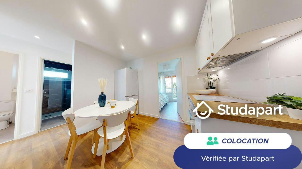 Private room for rent on Rue de la Concorde, Lyon - Plus