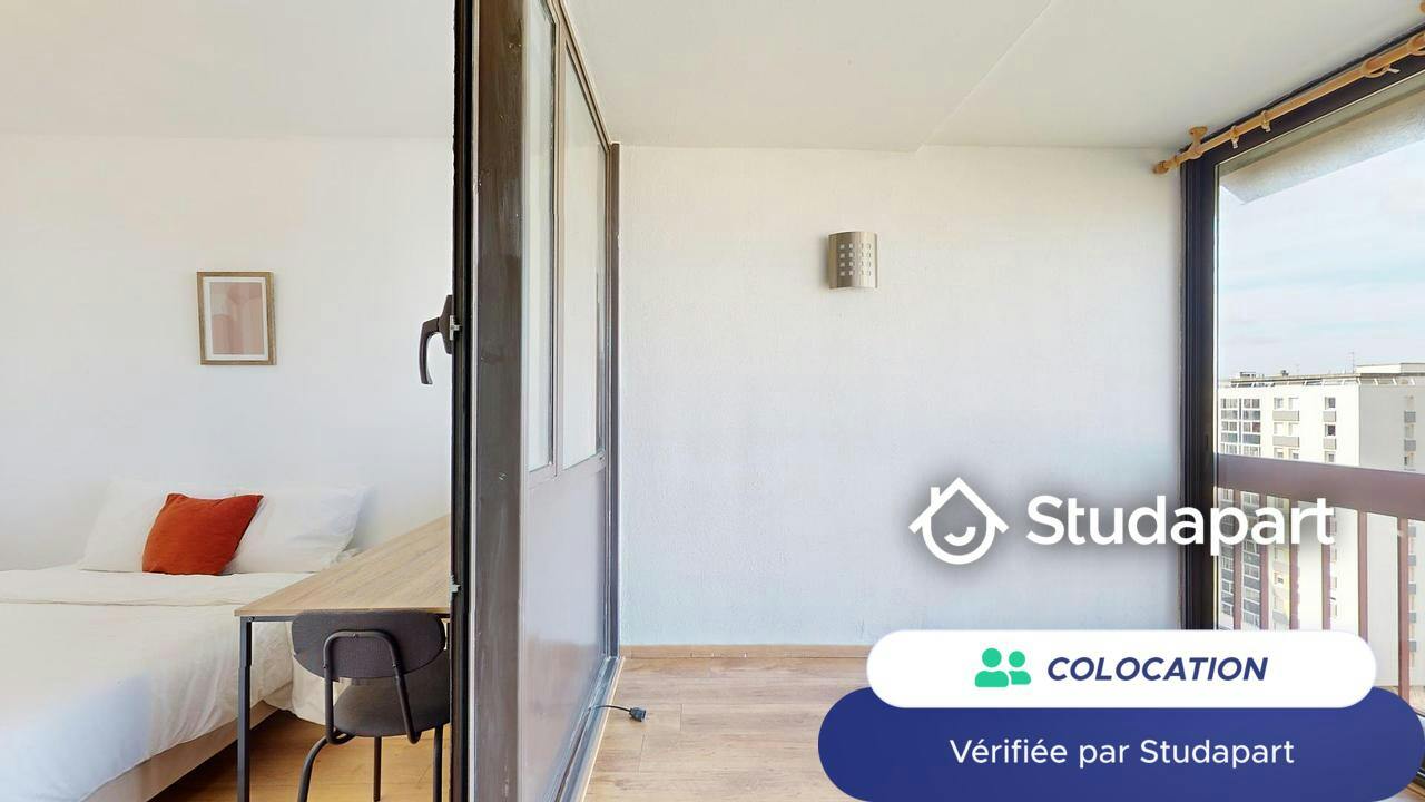 Private room for rent on Rue de l'Ukraine, Toulouse - Plus