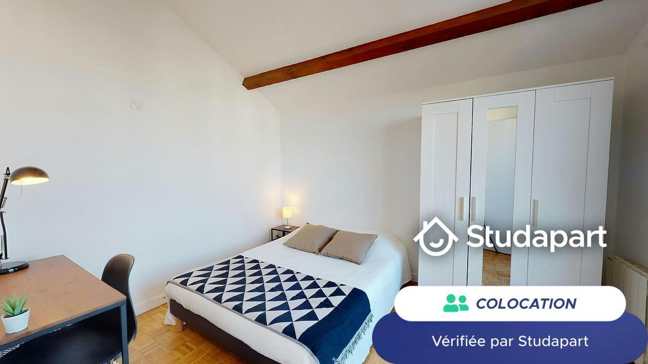 Private room for rent on Avenue Paul Santy, Lyon - Vue 4