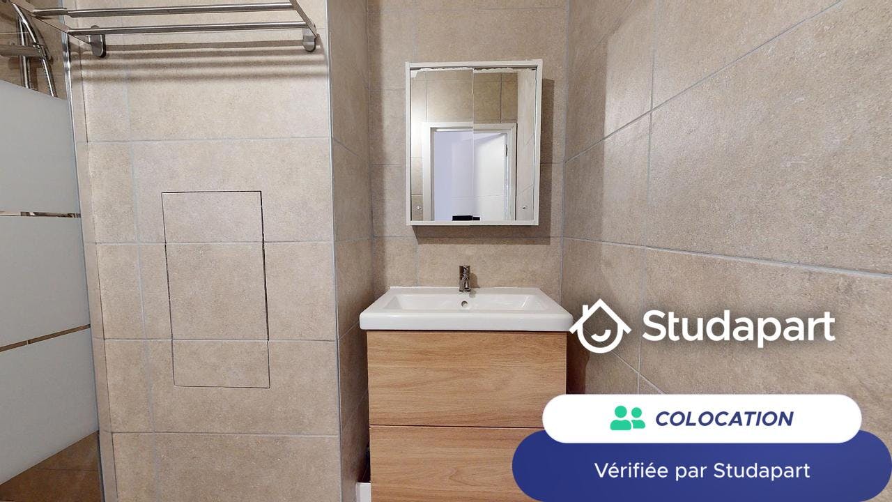 Private room for rent on Rue Frédéric Fays, Villeurbanne - Vedere 6