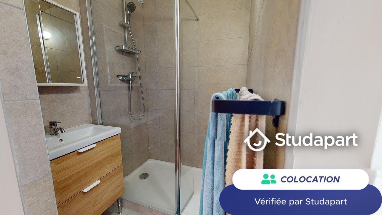 Private room for rent on Rue Frédéric Fays, Villeurbanne - Vedere 4