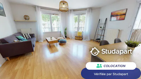 Private room for rent on Rue Paul Cazeneuve, Lyon, Lyon