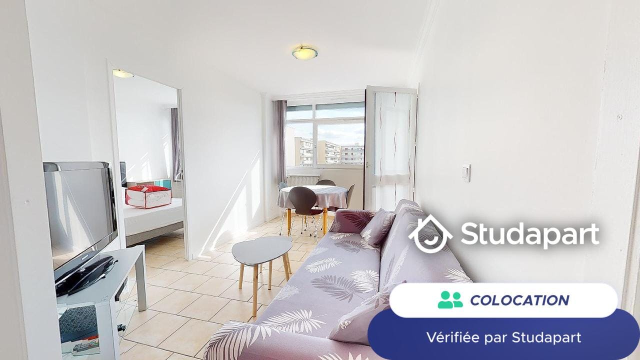Private room for rent on Rue Baraban, Lyon – pohled 4
