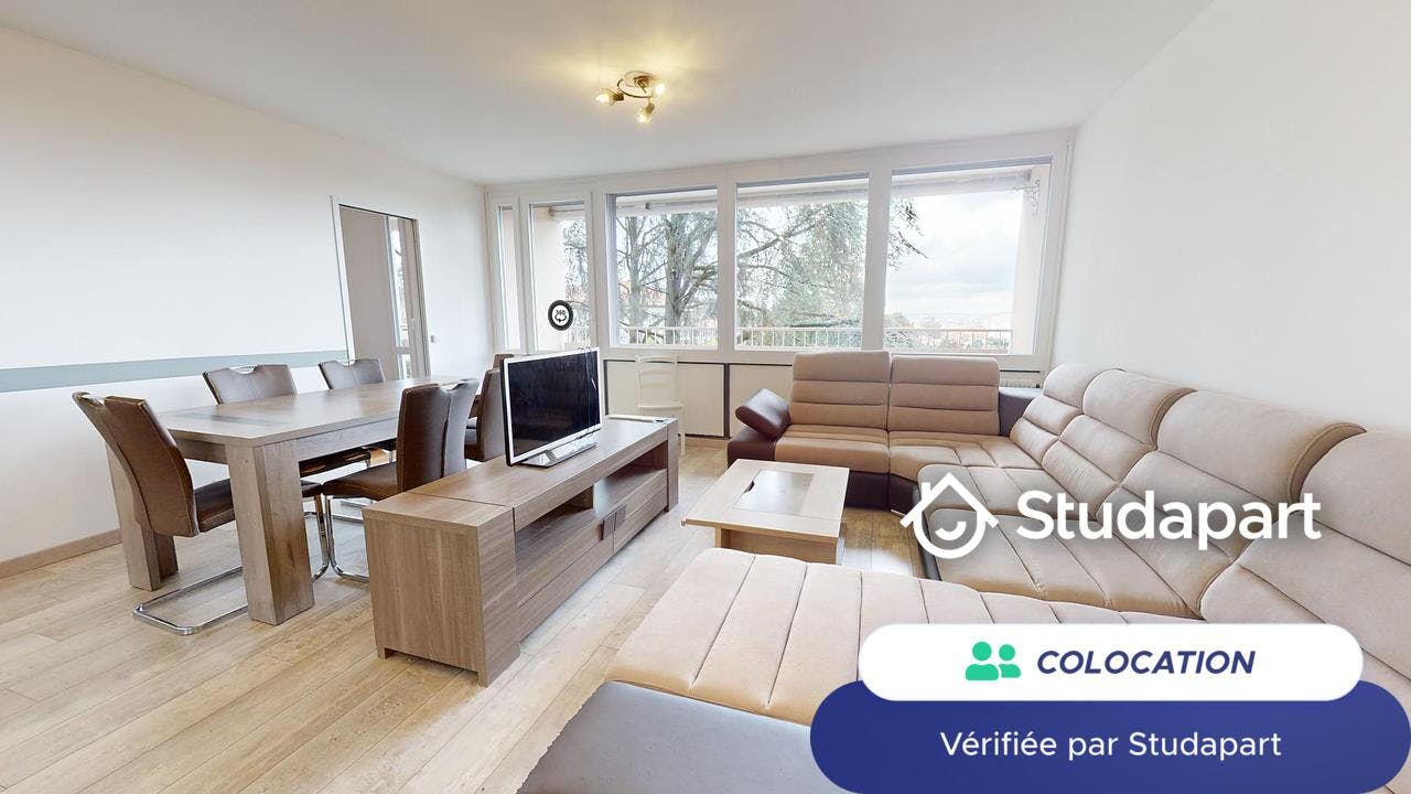 Private room for rent on Rue du Frère Benoît, Oullins-Pierre-Bénite - Vue 4