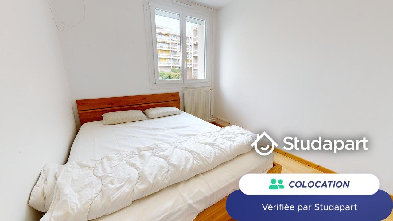 Private room for rent on Rue du Frère Benoît, Oullins-Pierre-Bénite - Vue 3