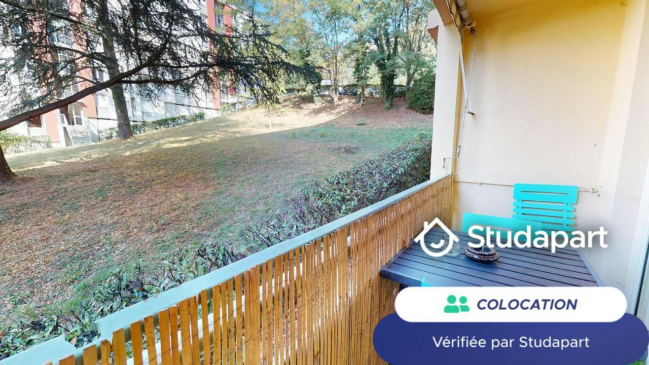 Private room for rent on Avenue de Ménival, Lyon - Vue 5