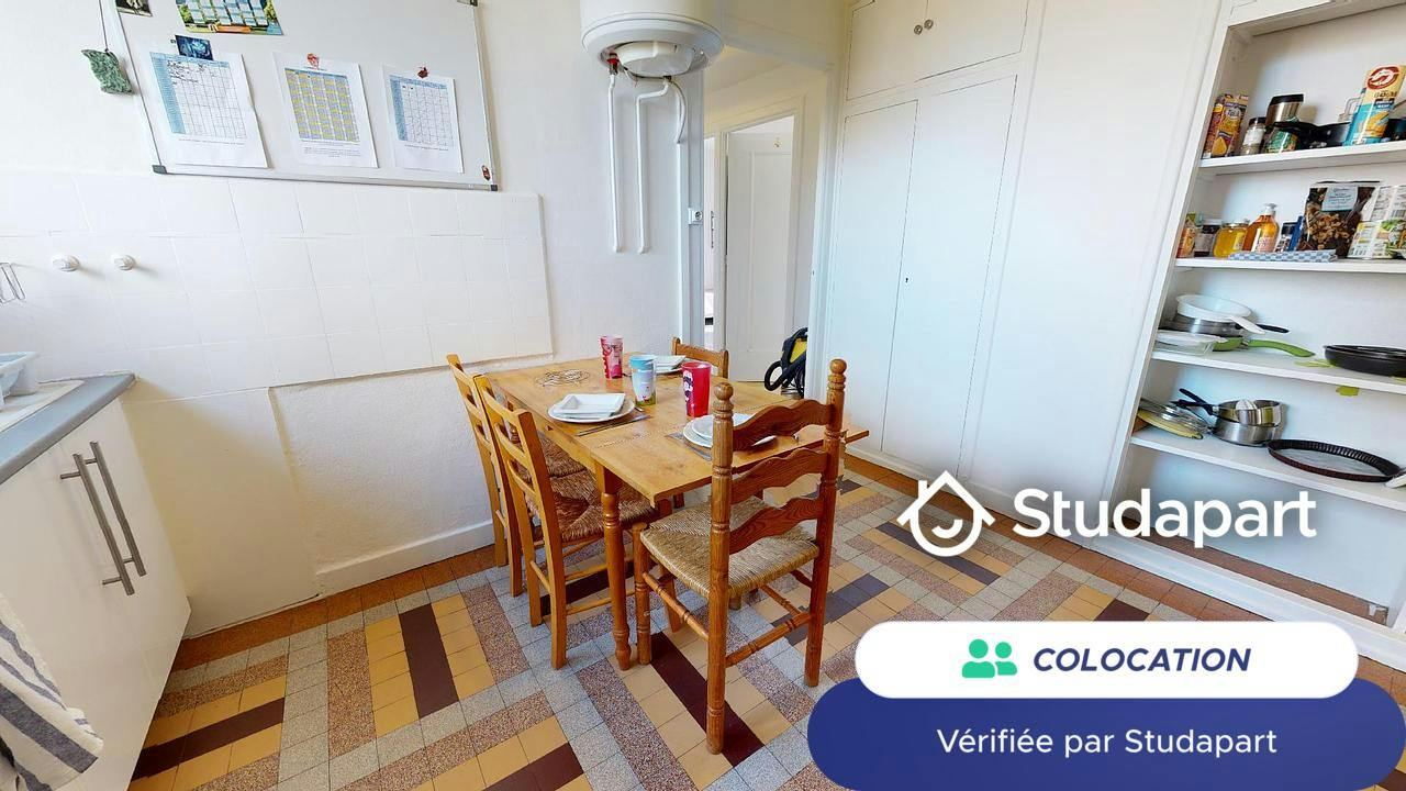 Private room for rent on Avenue Jean Mermoz, Lyon - Vue 3