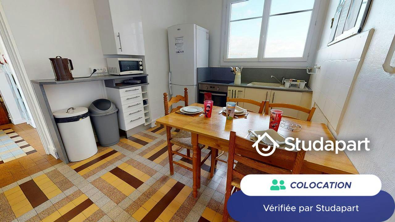 Private room for rent on Avenue Jean Mermoz, Lyon - Vue 4