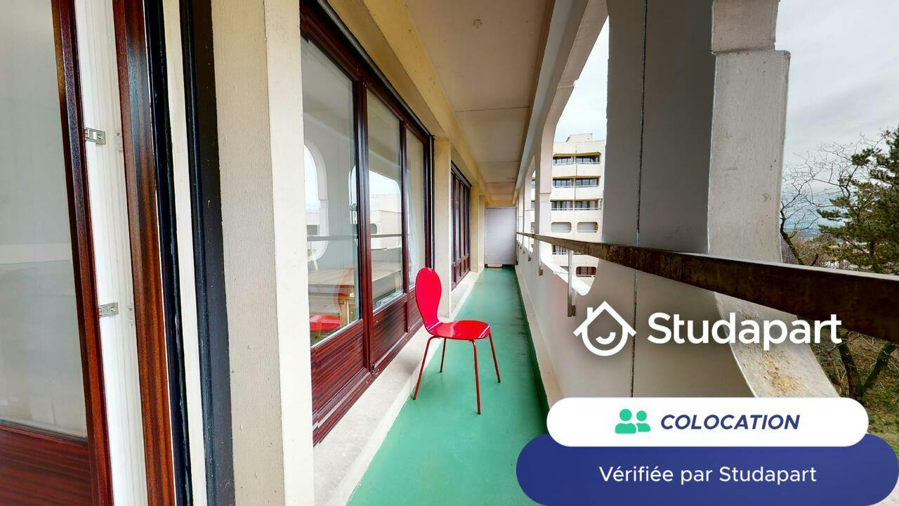 Private room for rent on Rue Professeur Patel, Lyon - Vue 5