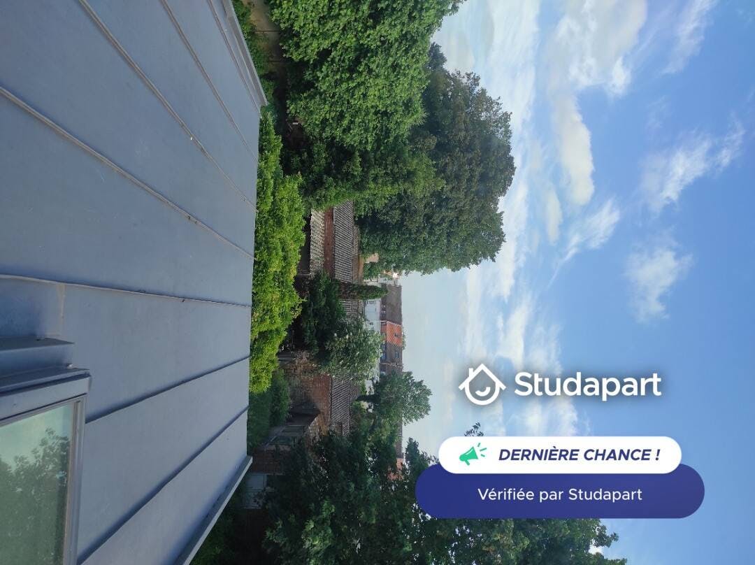 Apartment for rent on Rue du Général de Gaulle, Mons-en-Barœul – pohled 5