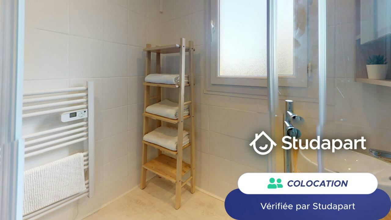 Private room for rent on Cours Richard Vitton, Lyon - Vue 5