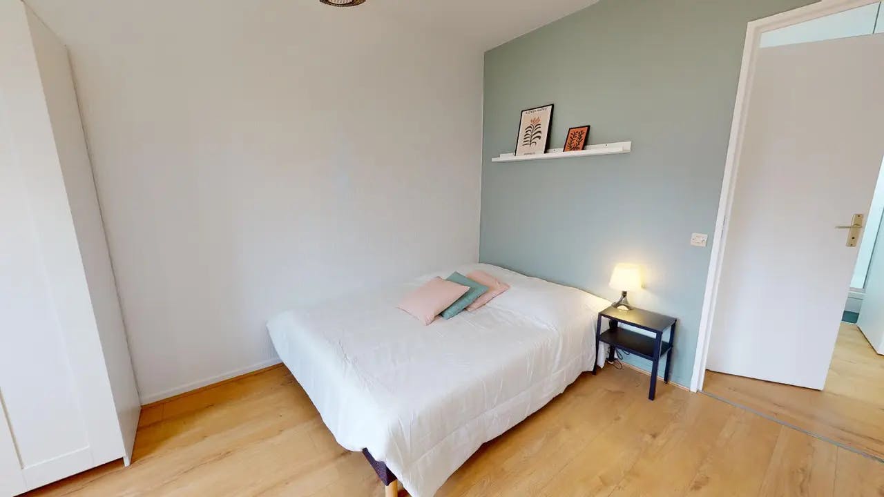 Private room in Rue André Bollier, Lyon (1526294) ROOM 1