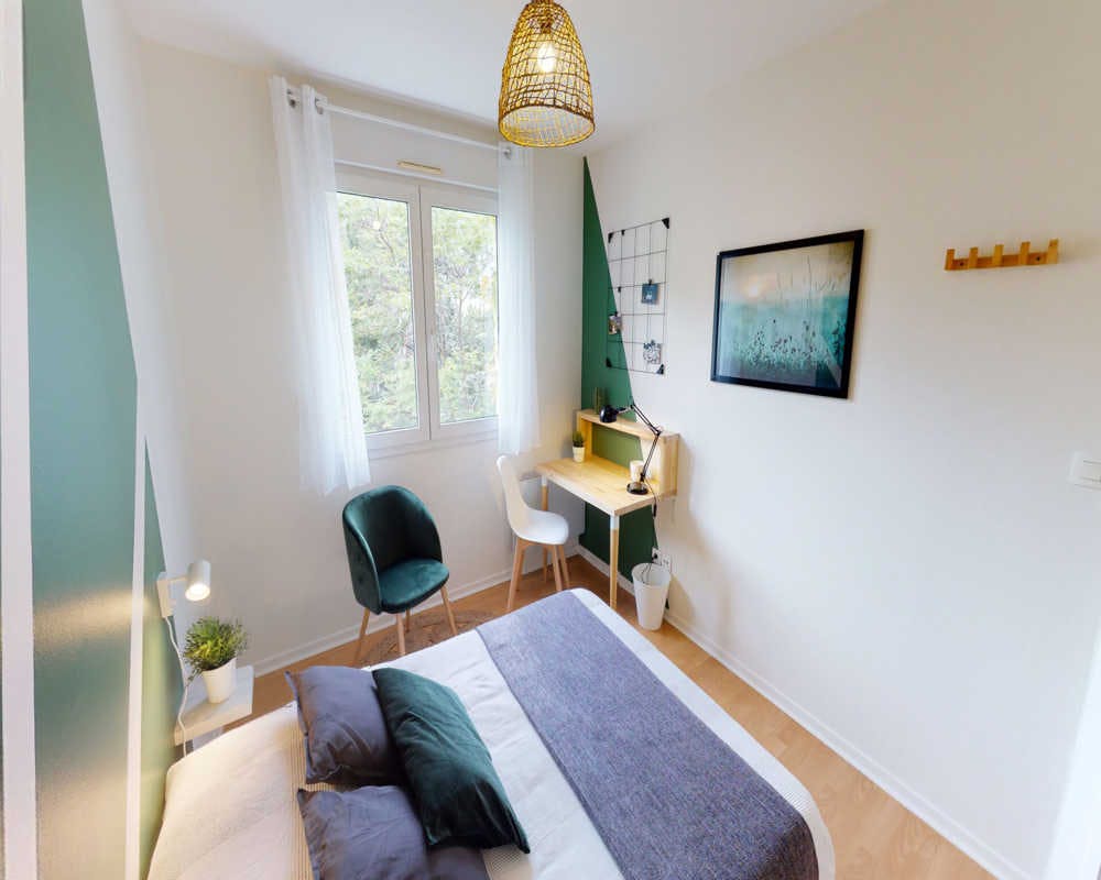 Private room for rent on Rue Roposte, Lyon - Vue 4