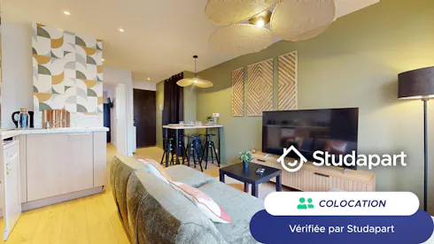 Private room for rent on Avenue Paul Santy, Lyon
