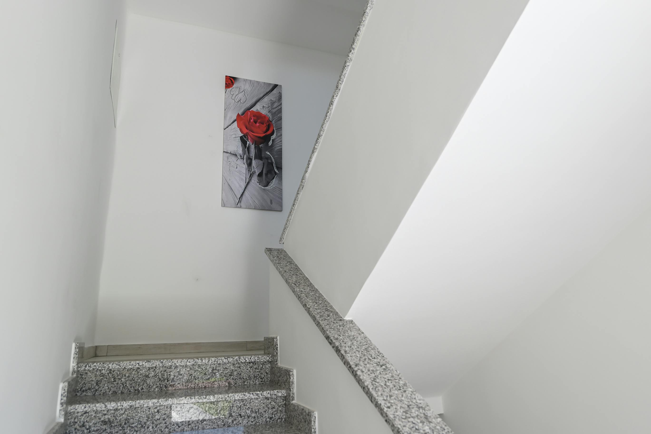 Apartment Grugliasco, 1 bed, 45m² — photo 17