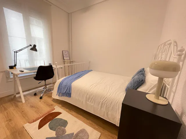 Private room in Paseo del Pintor Rosales, Madrid (1527299) room image 2