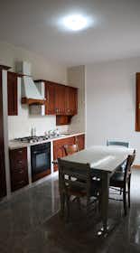 Private room for rent for €600 per month in Padova, Via Lovato Lovati