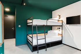 Pokój prywatny do wynajęcia za 360 € miesięcznie w mieście Trieste, Via dei Bonomo