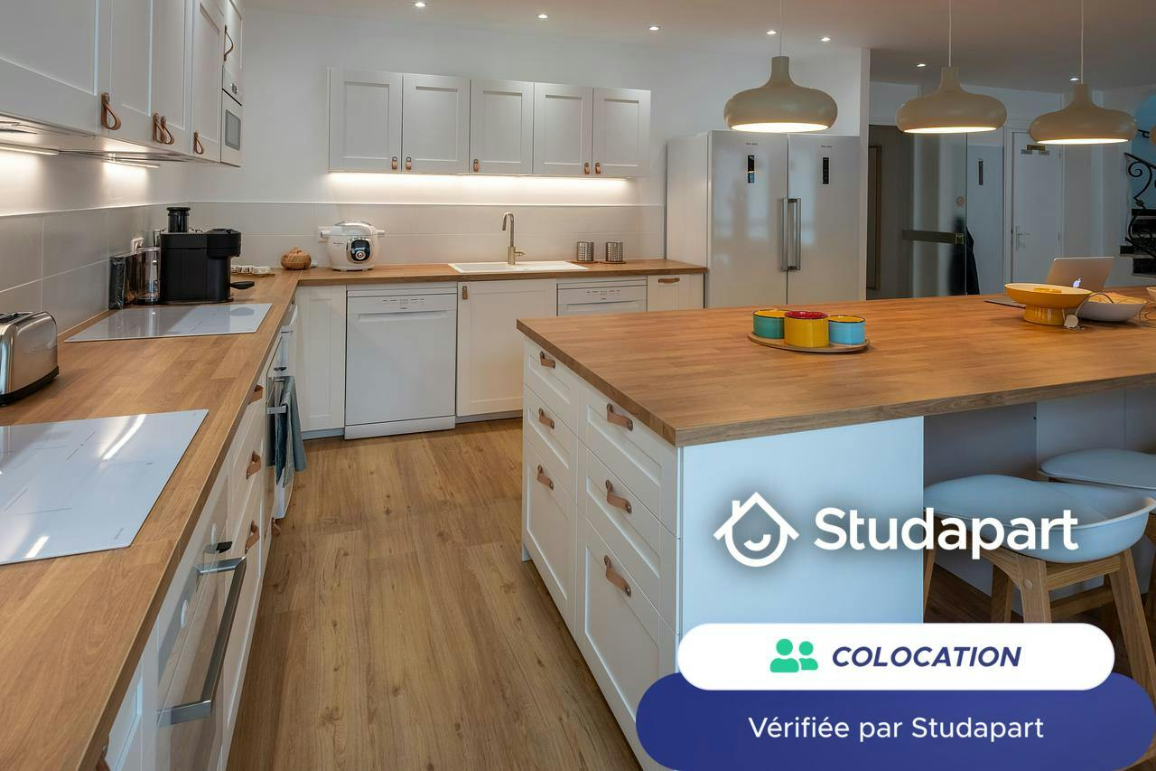 Private room for rent on Rue Seignemartin, Lyon - Vue 3