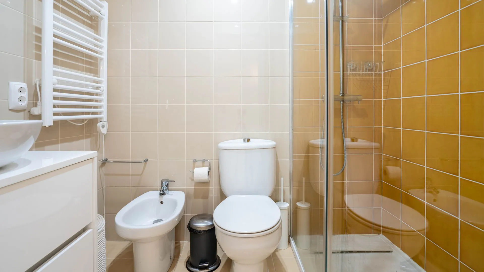 1-Bedroom Apartment in Rua de Brito Capelo, Porto (1528412) ROOM 4
