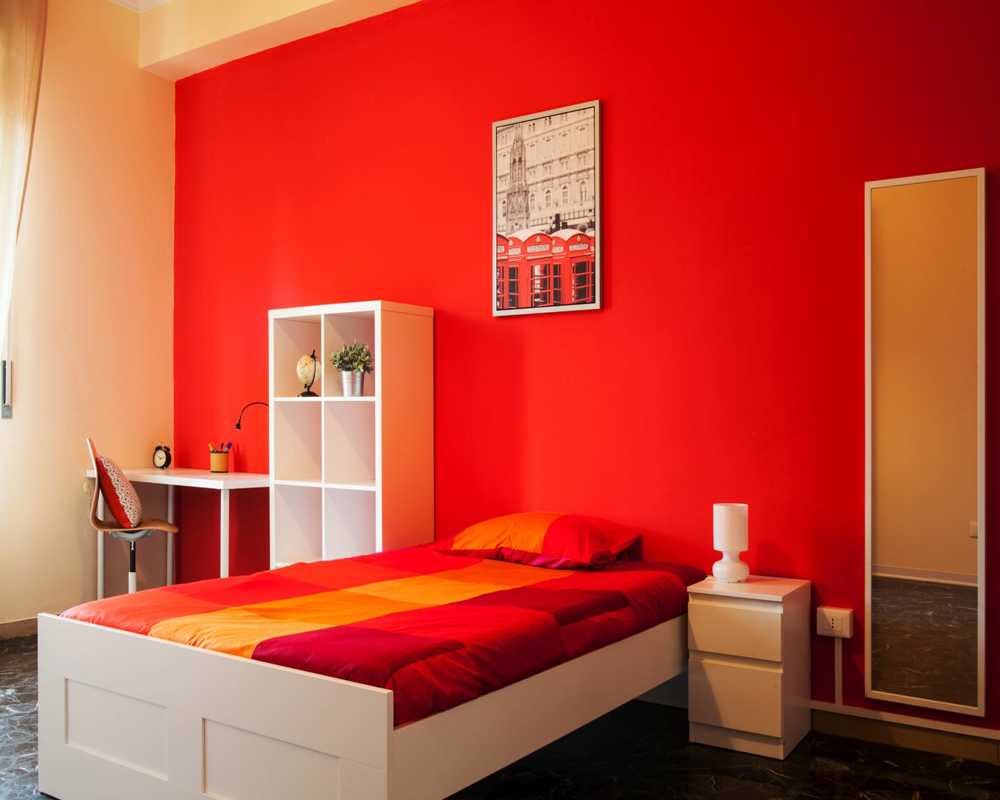 Via Belmeloro, Bologna preview