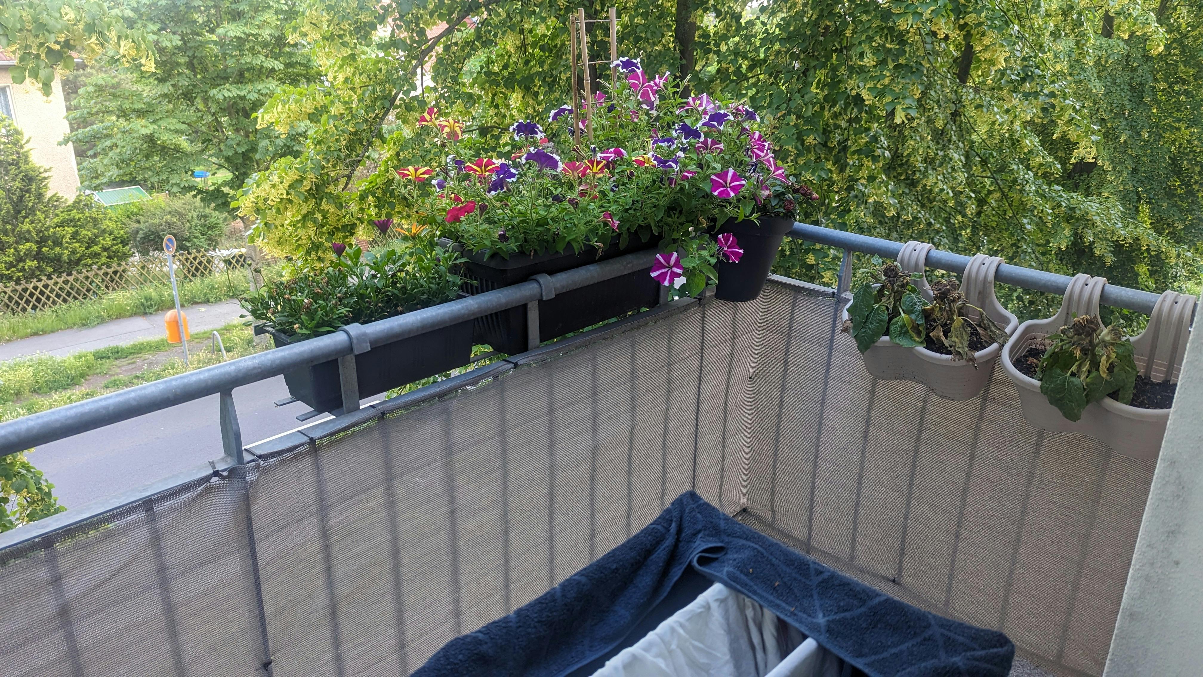 Apartment for rent for €1,190 per month in Berlin, Buntzelstraße