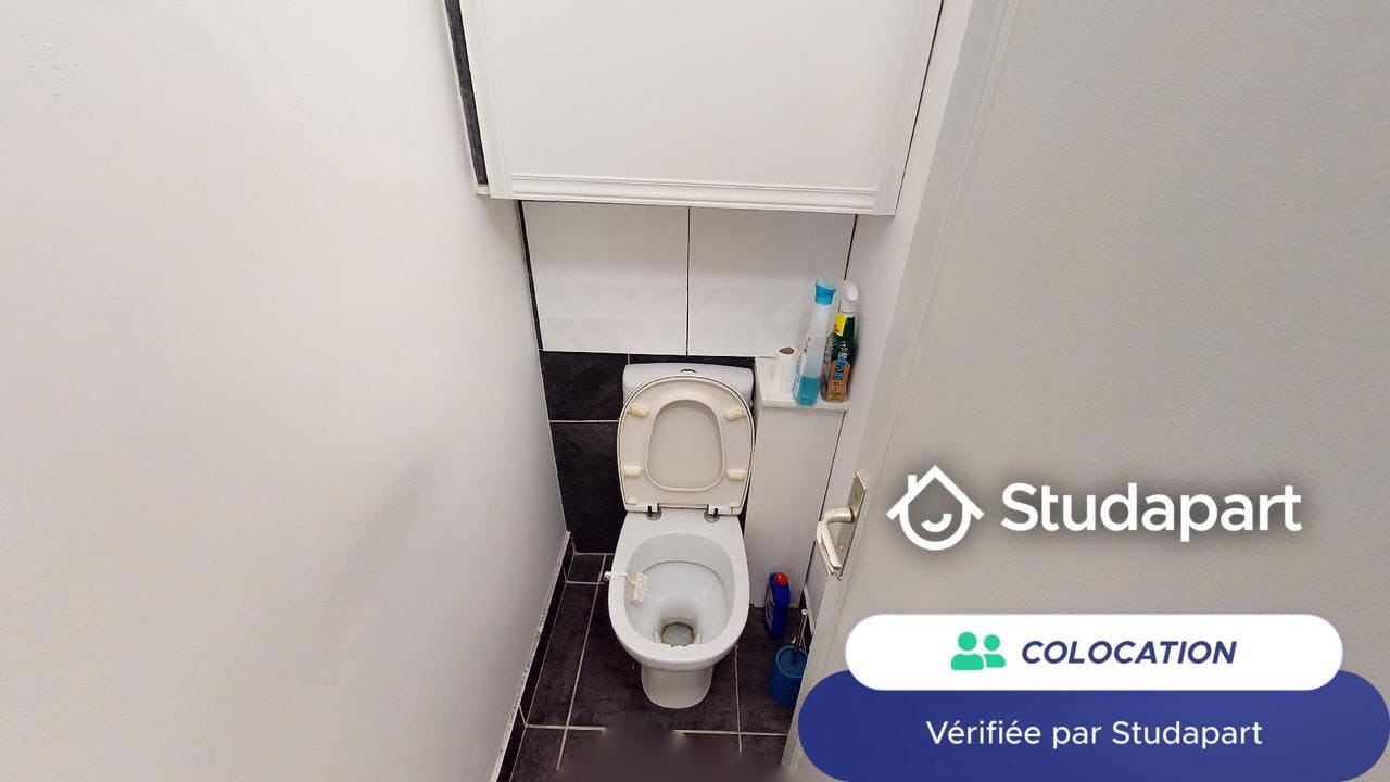 Private room for rent on Avenue Washington, Grenoble – pohled 6
