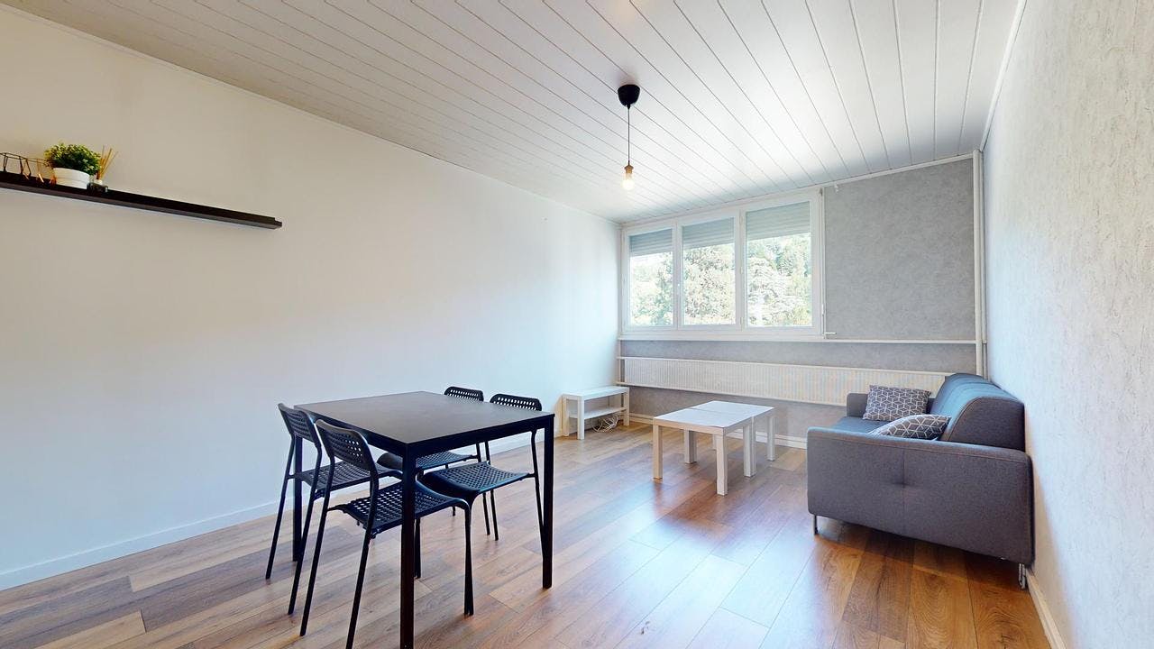 Apartment for rent on Boulevard Alexandre de Fraissinette, Saint-Étienne - Radharc 5