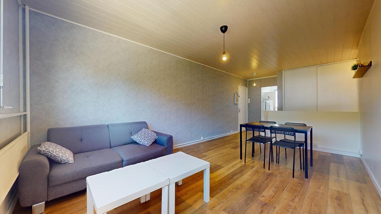 Apartment for rent on Boulevard Alexandre de Fraissinette, Saint-Étienne