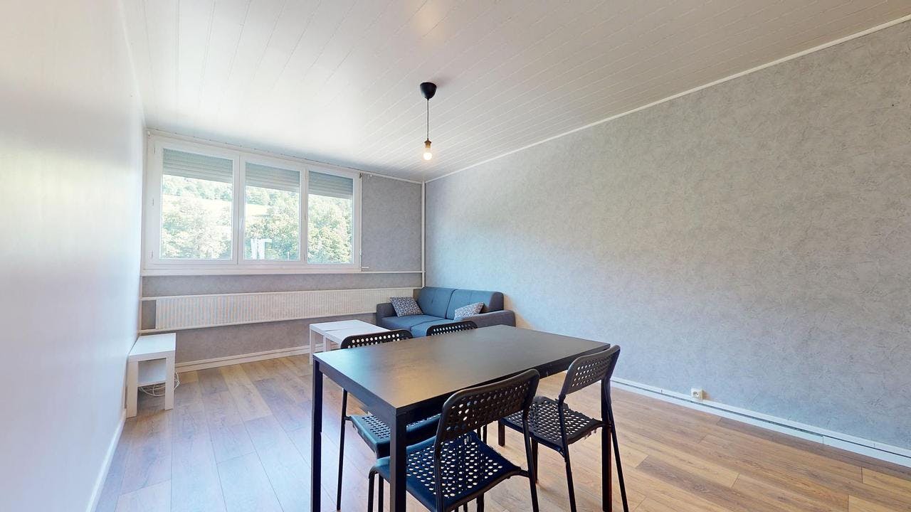 Apartment for rent on Boulevard Alexandre de Fraissinette, Saint-Étienne - Radharc 6