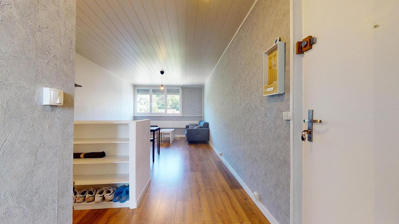 Apartment for rent on Boulevard Alexandre de Fraissinette, Saint-Étienne - Radharc 4