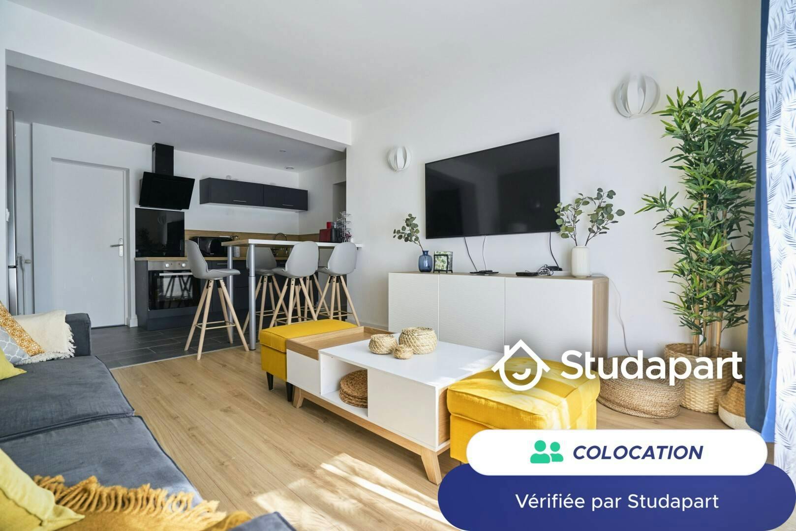 Private room for rent on Boulevard Vauban, Lille - Vue 4