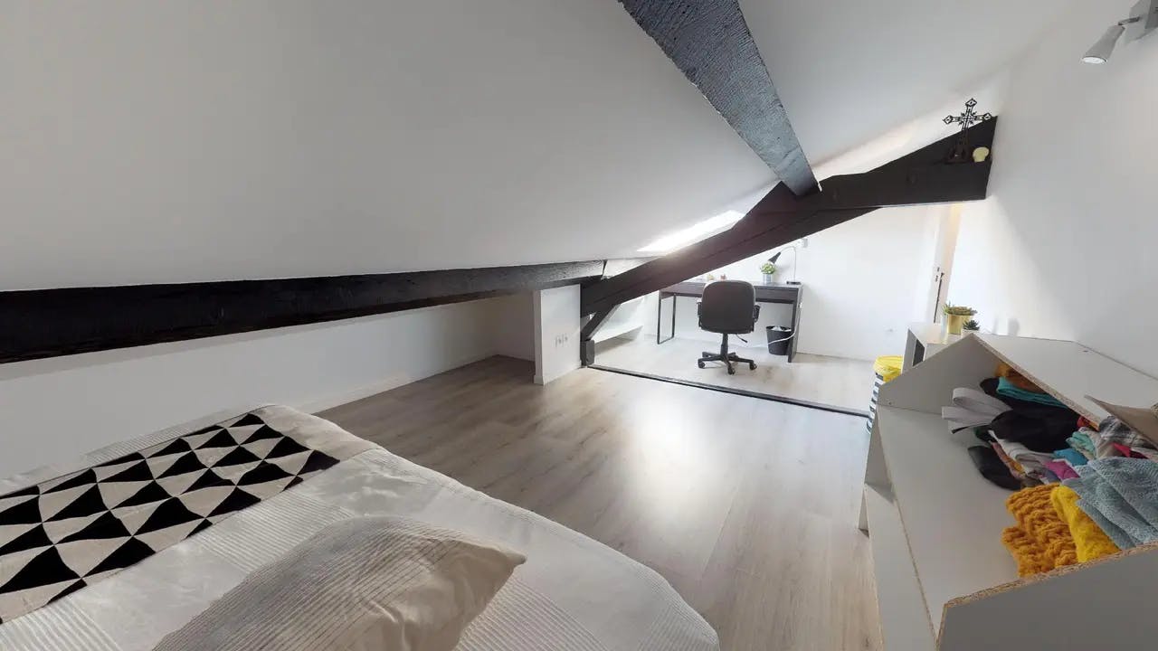 Private room in Rue Jean Perréal, Lyon (1529462) ROOM 2