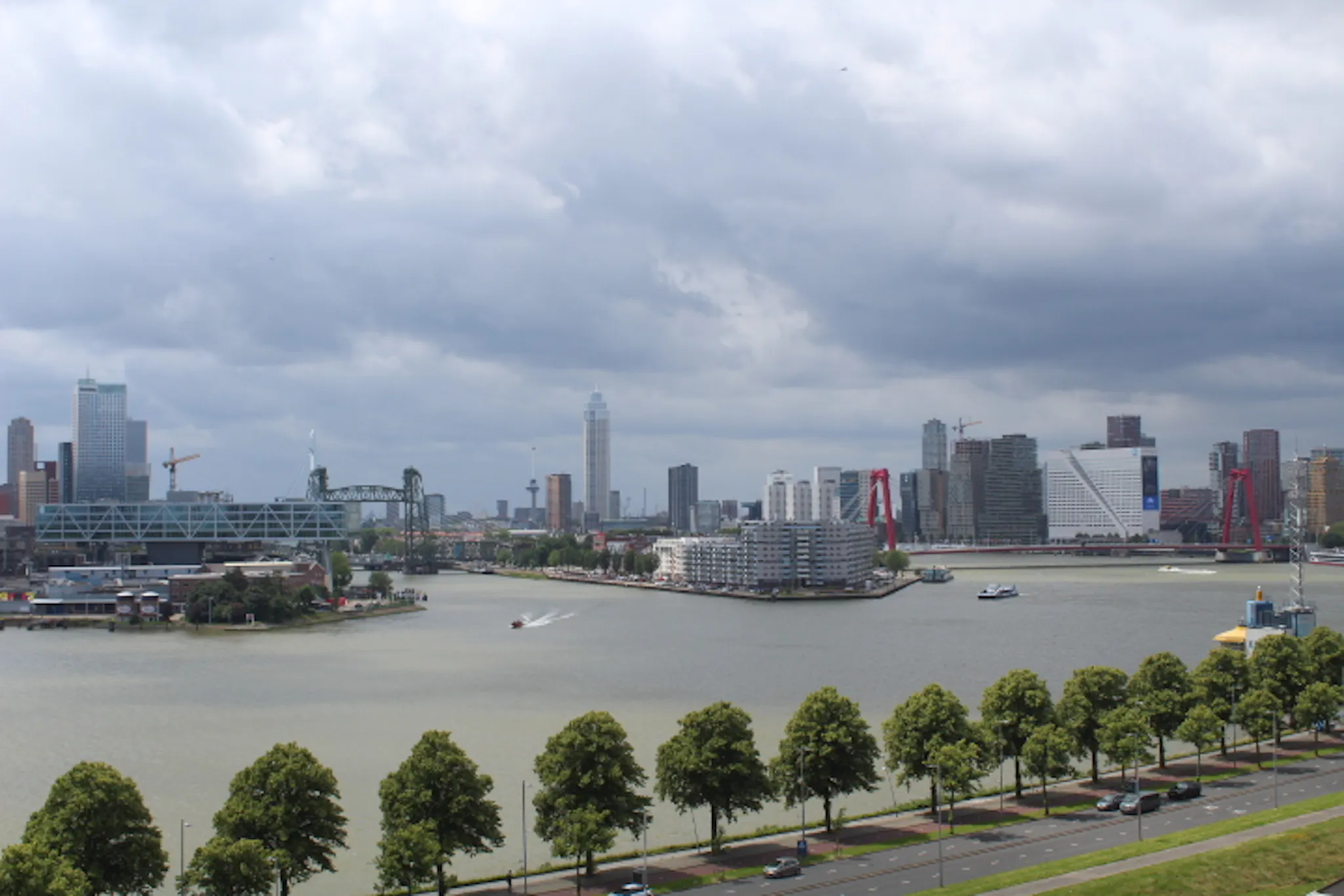 Buizenwerf, Rotterdam preview
