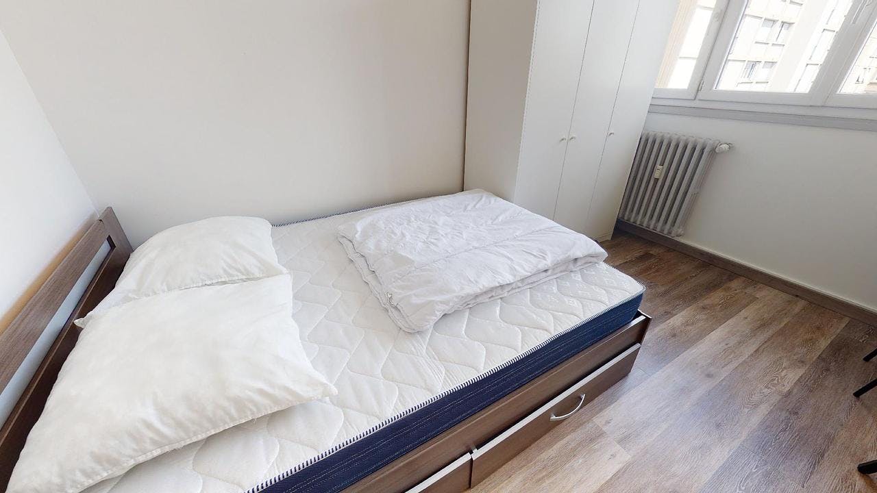 Private room for rent on Rue Saint-Joseph, Saint-Étienne - 4. nézet