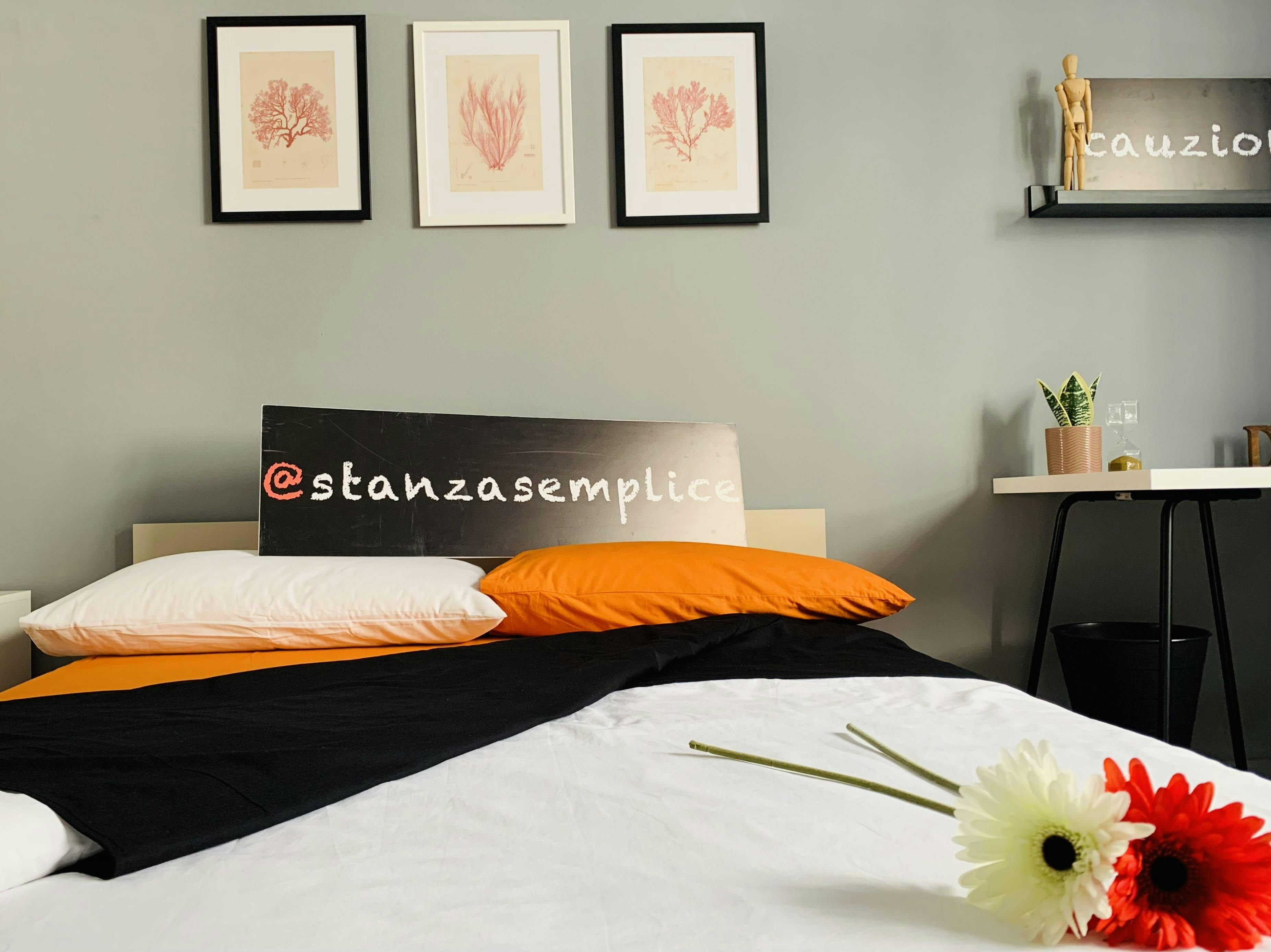 Single room Turin, 1 bed, 21m² — photo 7