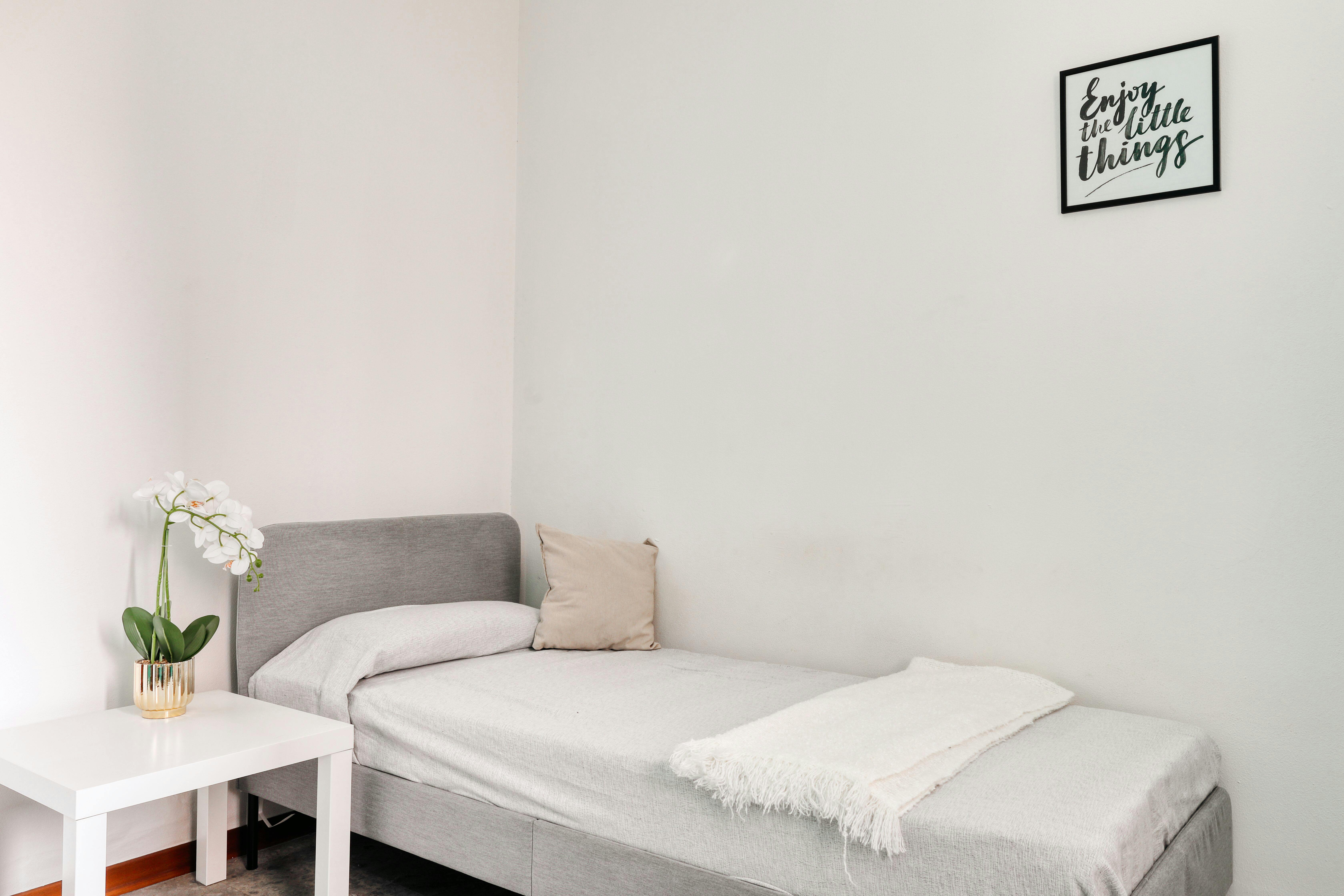 Viale Giuseppe Barilli Quirico Filopanti, Bologna