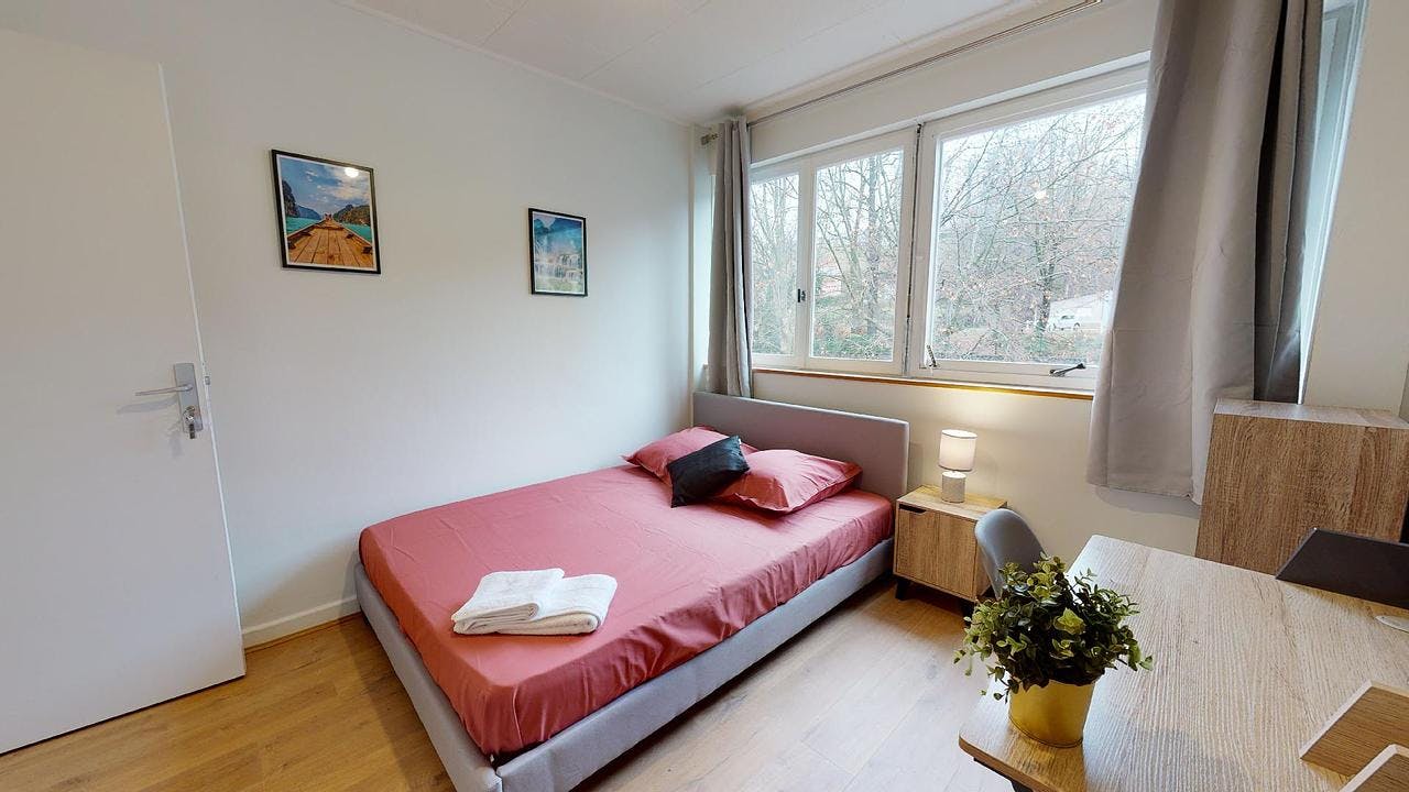 Rue du Petit Revoyet, Oullins-Pierre-Bénite preview