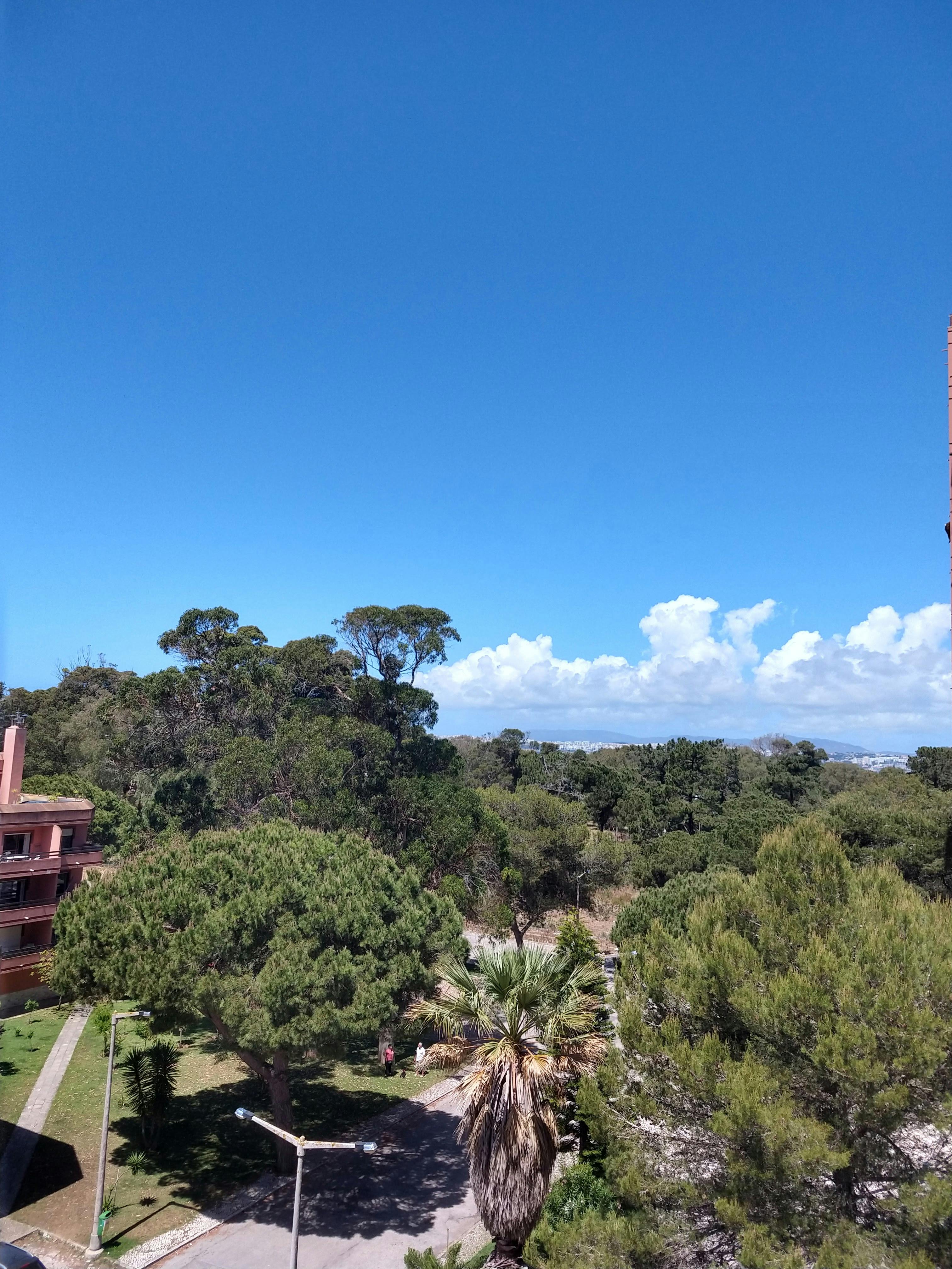 Apartment Almada, 74m² — photo 4