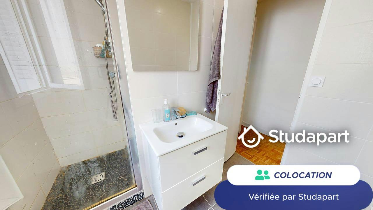Private room for rent on Rue du Docteur Carrier, Lyon - Vue 3