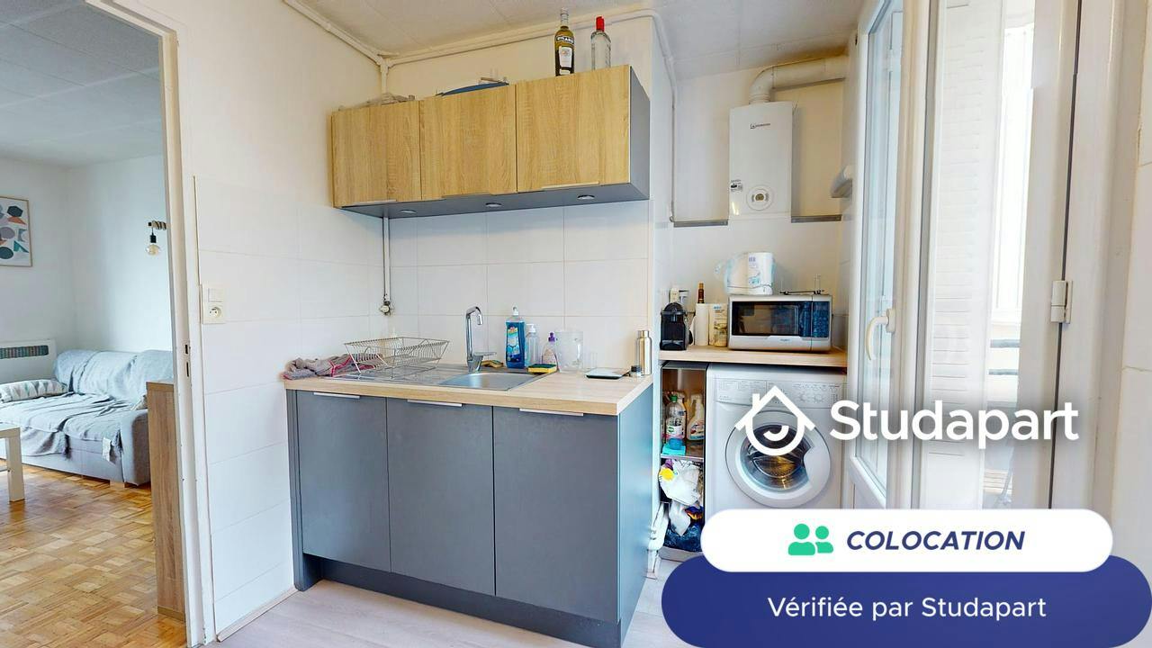 Private room for rent on Rue du Docteur Carrier, Lyon - Vue 5