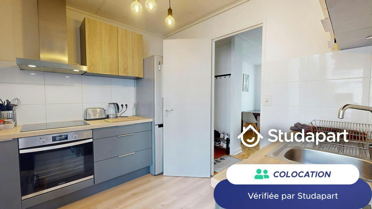 Private room for rent on Rue du Docteur Carrier, Lyon - Plus