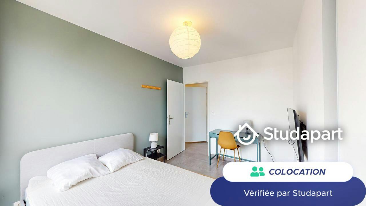 Private room for rent on Rue Daniel Iffla-Osiris, Bordeaux - Vue 4