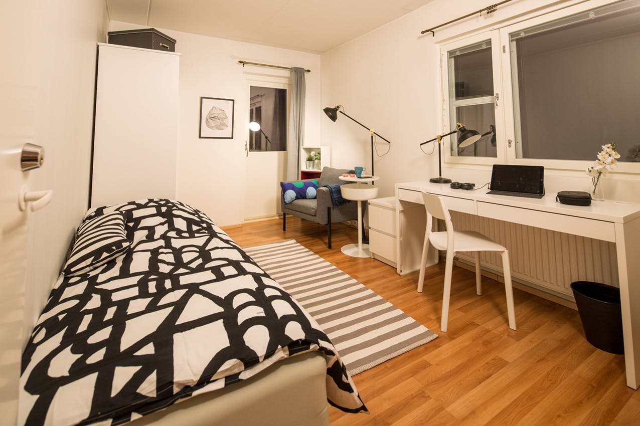 Trumpettitie, Helsinki preview