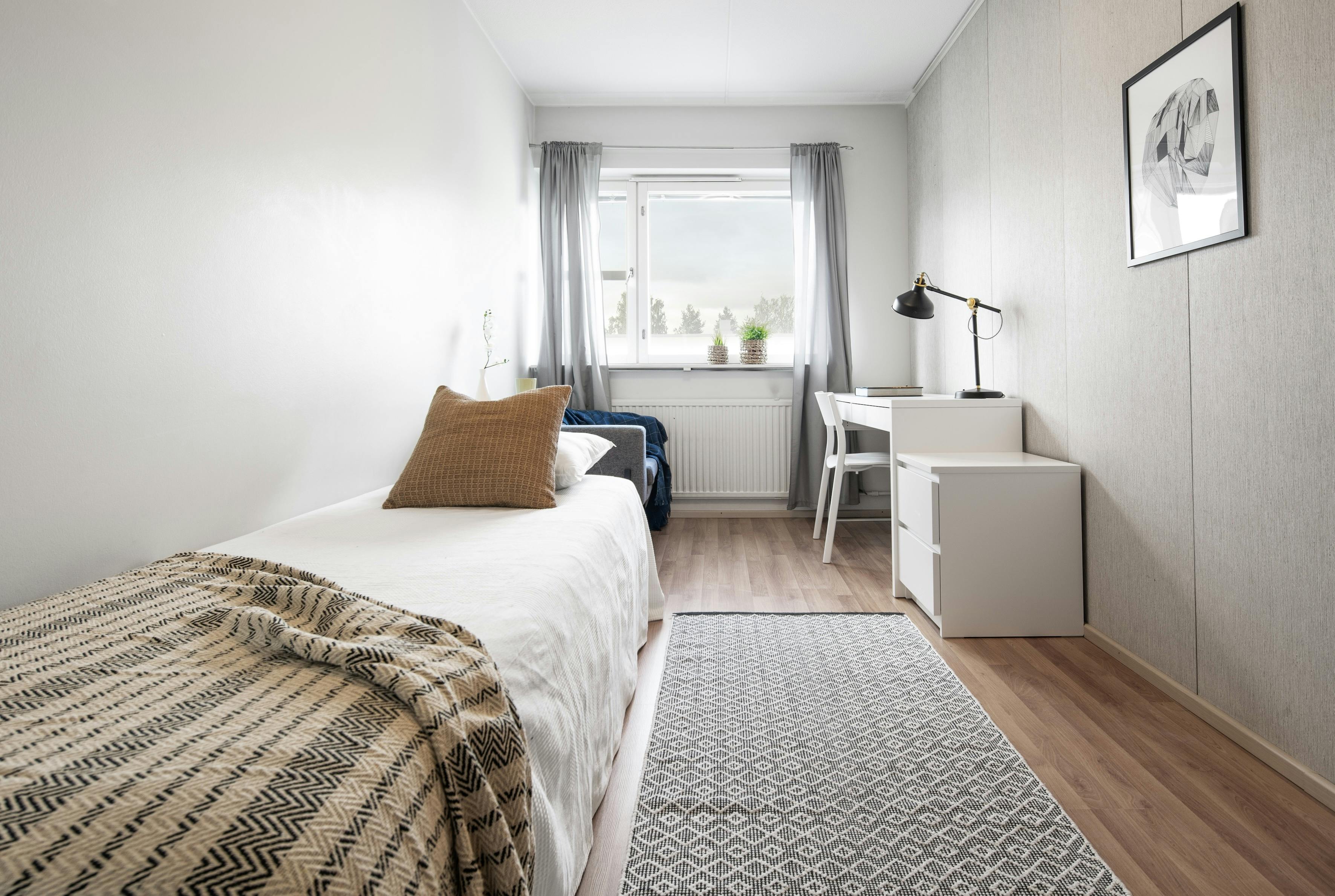 Trumpettitie, Helsinki preview