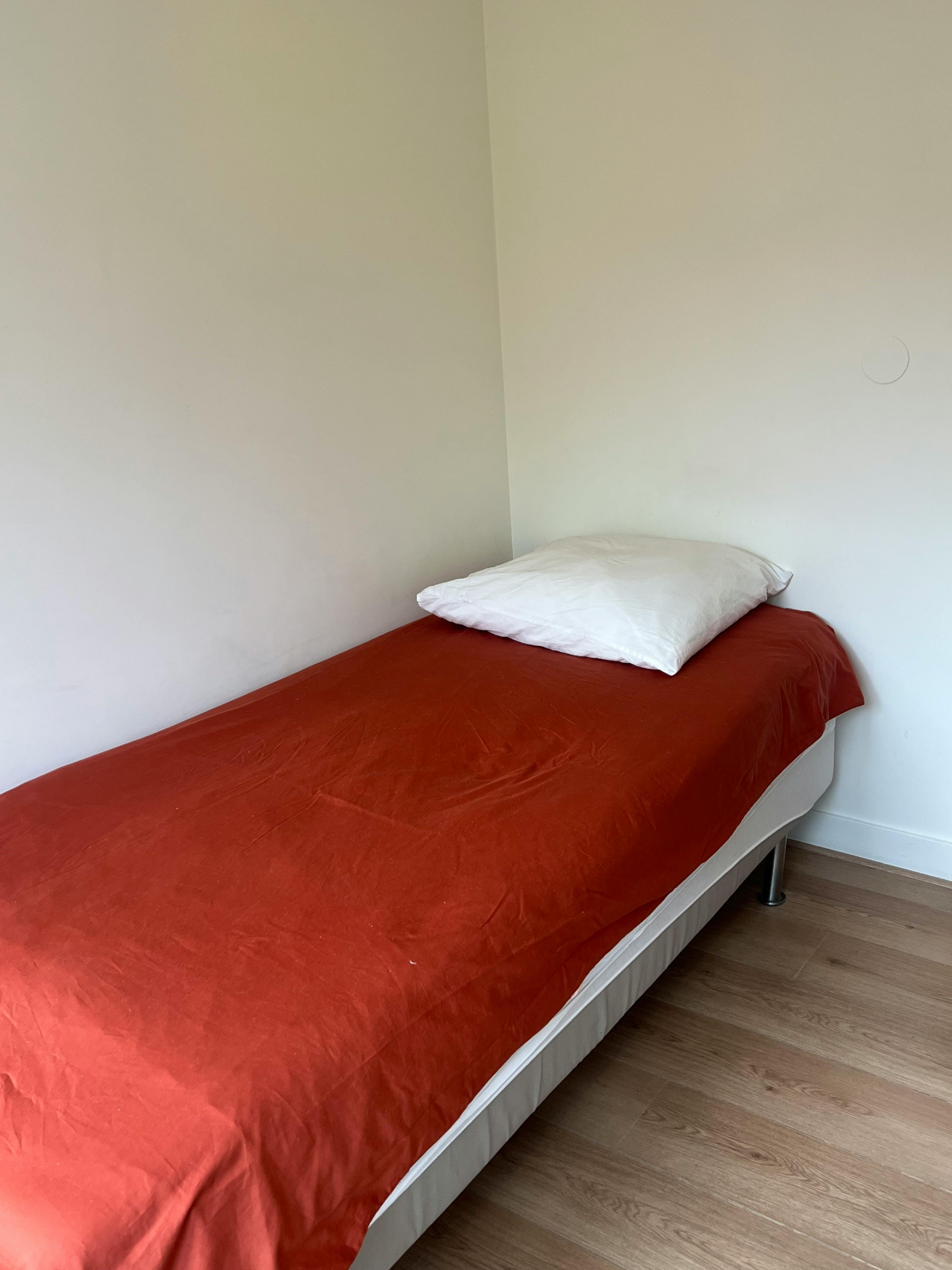 2-Bedroom Apartment in Bestevaerstraat, Amsterdam (1533411) room image 10